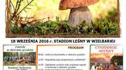 IX Wielbarski Festiwal Grzybów "Grzybowanie 2016".