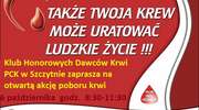 HDK zaprasza pod Kaufland  