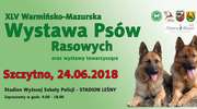 XLV Warmińsko-Mazurska Wystawa Psów Rasowych
