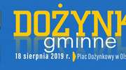 Dożynki Gminne Olszyny 2019 - galeria zdjęć
