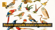 Rozwiń skrzydła z Moim Stypendium!