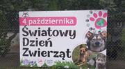 Światowy Dzień Zwierząt