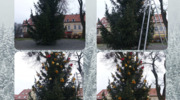 Choinka na Placu Juranda już przystrojona