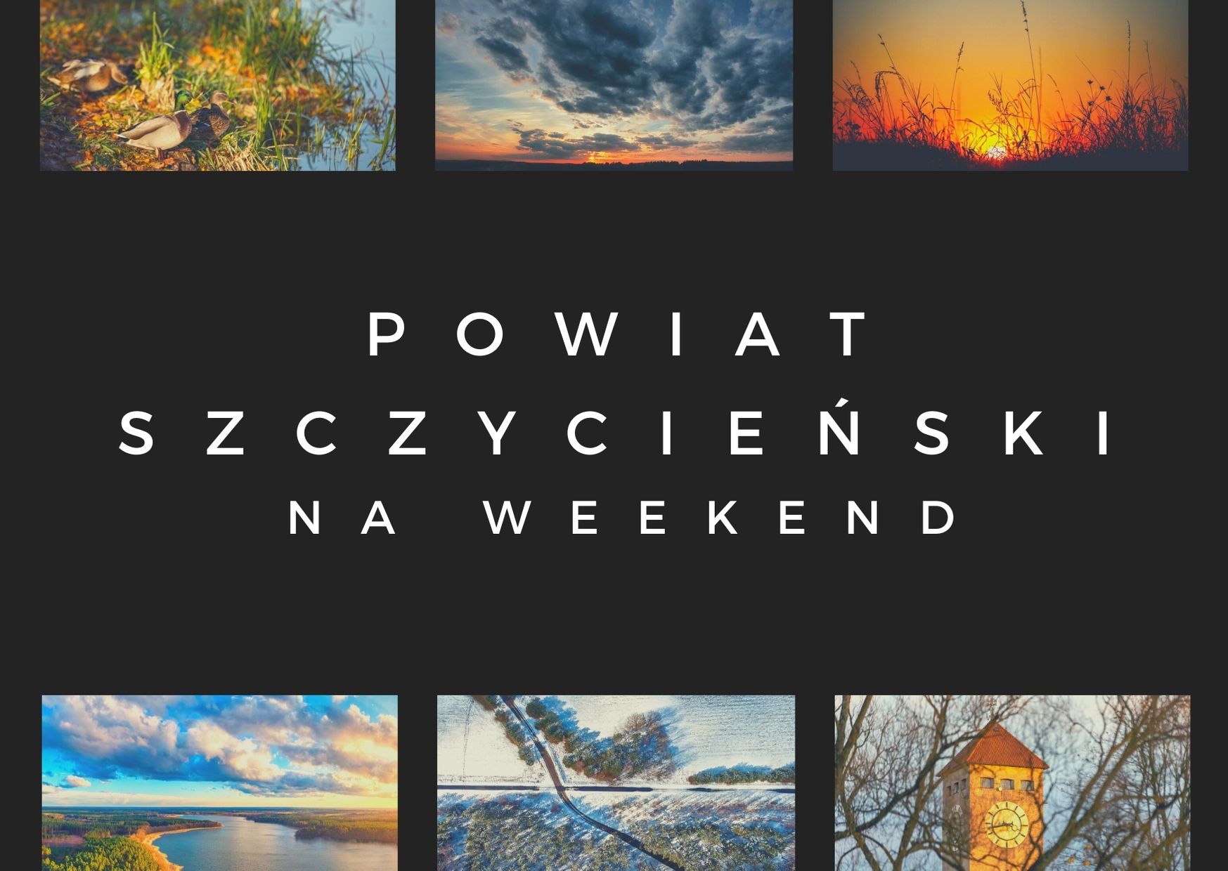 https://m.powiatszczycienski.pl/2021/01/orig/ciekawostki-przyrodnicze-3-37276.jpg