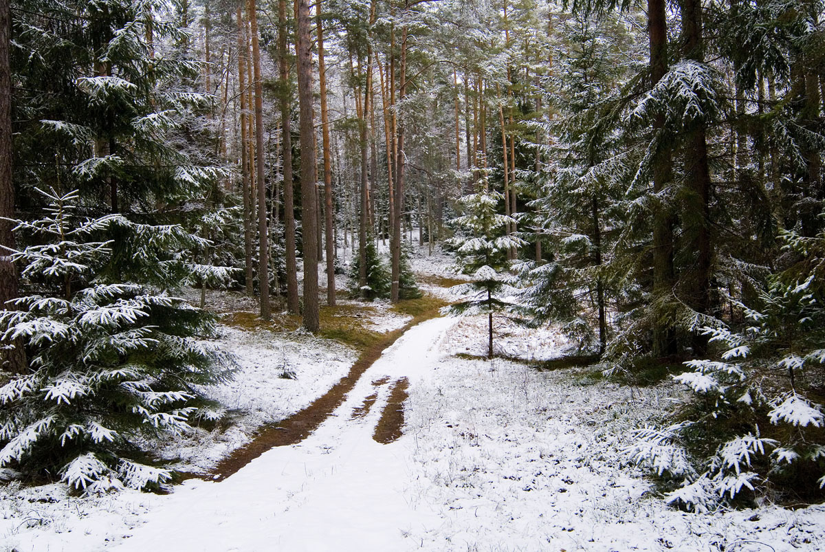 https://m.powiatszczycienski.pl/2021/01/orig/w-rejonie-jeleniowa-okolice-jeziora-ratajki-bardzo-ciekawe-miejsca-z-jeziora-wplywa-tak-zwana-leniwa-struzka-ktora-nastepnie-laczy-sie-z-moja-ulubiona-babancka-struga-37269.jpg