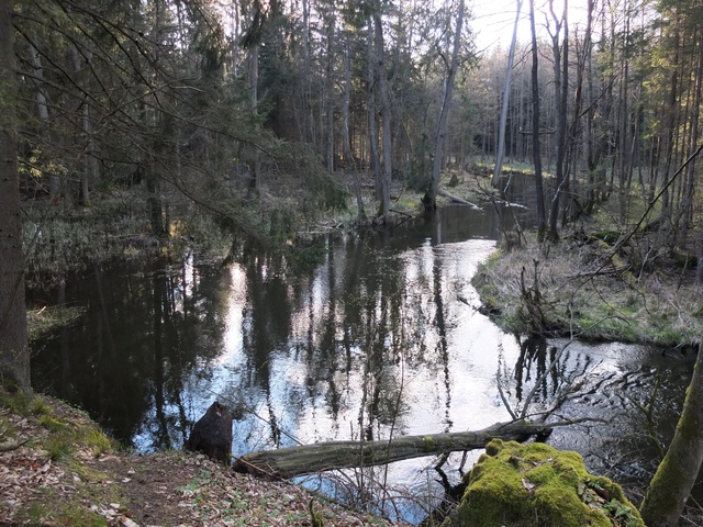 https://m.powiatszczycienski.pl/2021/04/n/gmina-szczytno-grodzisko-w-janowie-fot-witold-olbrys-dla-przemka-zrobic-czarnobiale-39857.jpg