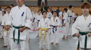 Mistrzostwa Województwa Warmińsko - Mazurskiego w Karate Kyokushin (galeria zdjęć)