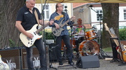 Koncert Zespołu Żuki