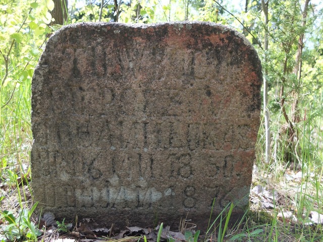 Wilamowo - cmentarz ewangelicki 