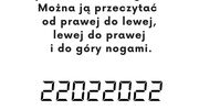 MIĘDZYNARODOWY DZIEŃ JĘZYKA OJCZYSTEGO 