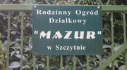 60-lecie Rodzinnych Ogrodów Działkowych „MAZUR” w Szczytnie