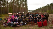 Wspólne sadzenie lasu na terenie leśnictwa Piecki