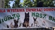 „Zwierzę nasz brat”