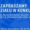 Zapraszamy do udziału w konkursie na Młodzieżowego Delegata RP na 80. sesję Zgromadzenia Ogólnego ONZ