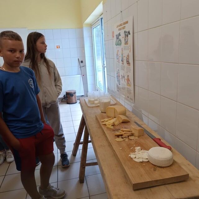 Od Ogrodu do Stołu: Edukacyjna Wyprawa do Gospodarstwa