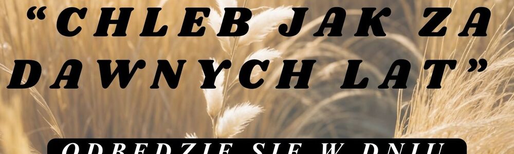 Festiwal Chleba - Konkurs Kulinarny