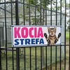 W schronisku "Cztery Łapy" powstała nowoczesna "Kociarnia" 
