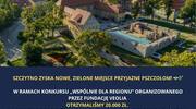 Miasto Szczytno zyska nowe, zielone miejsce przyjazne pszczołom!