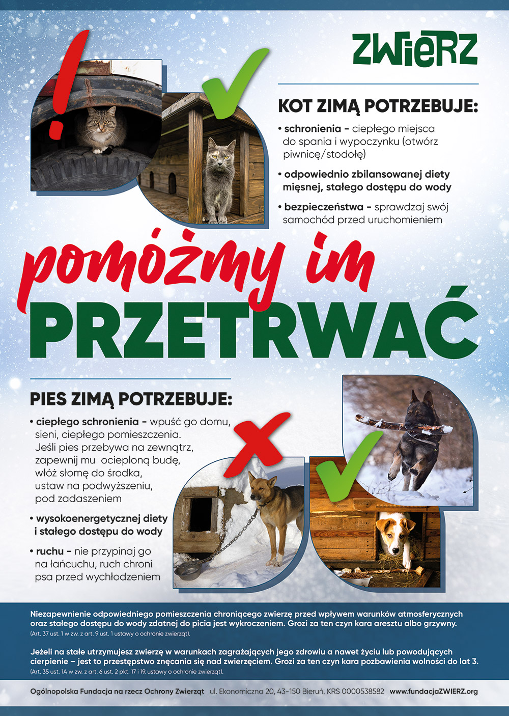https://m.powiatszczycienski.pl/2026/01/orig/kampania-zima-fundacja-zwierz-86832.jpg