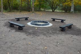 Zdjęcie artykułu z dnia 21-01-2026