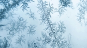Uwaga na silne mrozy