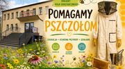 Pomagamy Pszczołom – kolejne działania Koła Ekologicznego w ZS nr 1