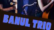Koncert Banul Trio w Jerutkach