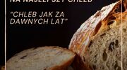 Konkurs kulinarny na najlepszy chleb „CHLEB JAK ZA DAWNYCH LAT” podczas „FESTIWALU CHLEBA” w dniu 09.08.2026 r.