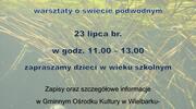Kto się chowa pod rzęsą 23-07-2026