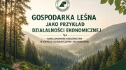 Gospodarka Leśna - Jako przykład działalności ekonomicznej