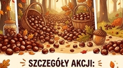 Podziel się kasztanem! Pomóżmy Paulince w walce o sprawność!